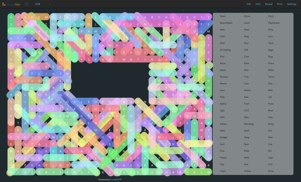 A 2 layered, large word search puzzle with a cryptic message